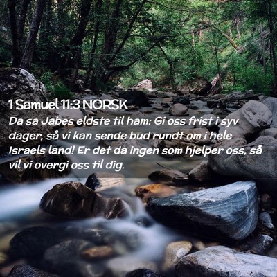 Picture 02 - 1 Samuel 11:3 NORSK - Da sa Jabes eldste til ham: Gi oss frist i syv - Bible Verse Picture