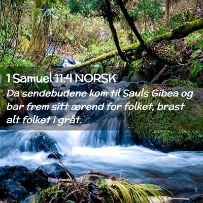 Picture 02 - 1 Samuel 11:4 NORSK - Da sendebudene kom til Sauls Gibea og bar frem - Bible Verse Picture