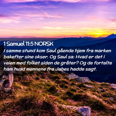 Picture 02 - 1 Samuel 11:5 NORSK - I samme stund kom Saul gående hjem fra marken - Bible Verse Picture