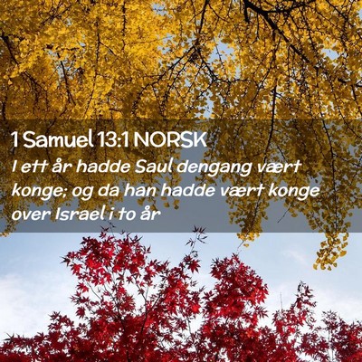 Picture 02 - 1 Samuel 13:1 NORSK - I ett år hadde Saul dengang vært konge; og da - Bible Verse Picture