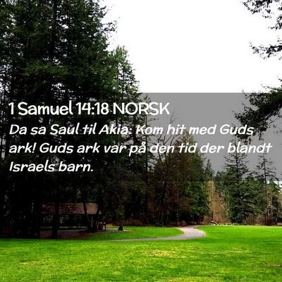 Picture 02 - 1 Samuel 14:18 NORSK - Da sa Saul til Akia: Kom hit med Guds ark! Guds - Bible Verse Picture