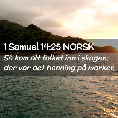 Picture 02 - 1 Samuel 14:25 NORSK - Så kom alt folket inn i skogen; der var det - Bible Verse Picture