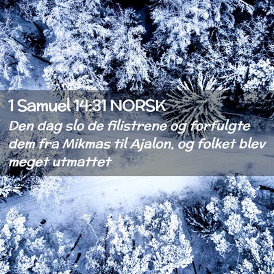 Picture 02 - 1 Samuel 14:31 NORSK - Den dag slo de filistrene og forfulgte dem fra - Bible Verse Picture