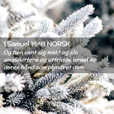 Picture 02 - 1 Samuel 14:48 NORSK - Og han vant sig makt og slo amalekittene og - Bible Verse Picture