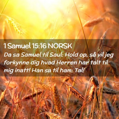 Picture 02 - 1 Samuel 15:16 NORSK - Da sa Samuel til Saul: Hold op, så vil jeg - Bible Verse Picture