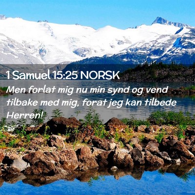 Picture 02 - 1 Samuel 15:25 NORSK - Men forlat mig nu min synd og vend tilbake med - Bible Verse Picture