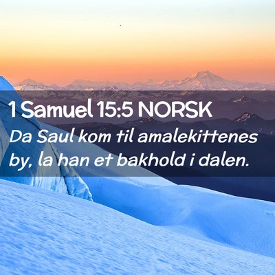 Picture 02 - 1 Samuel 15:5 NORSK - Da Saul kom til amalekittenes by, la han et - Bible Verse Picture