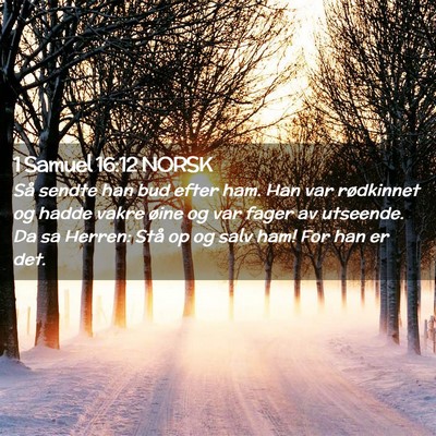 Picture 02 - 1 Samuel 16:12 NORSK - Så sendte han bud efter ham. Han var rødkinnet - Bible Verse Picture
