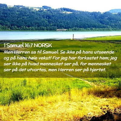 Picture 02 - 1 Samuel 16:7 NORSK - Men Herren sa til Samuel: Se ikke på hans - Bible Verse Picture