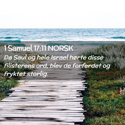 Picture 02 - 1 Samuel 17:11 NORSK - Da Saul og hele Israel hørte disse filisterens - Bible Verse Picture