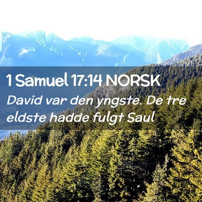 Picture 02 - 1 Samuel 17:14 NORSK - David var den yngste. De tre eldste hadde fulgt - Bible Verse Picture
