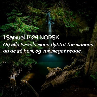 Picture 02 - 1 Samuel 17:24 NORSK - Og alle Israels menn flyktet for mannen da de så - Bible Verse Picture