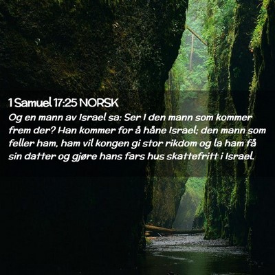 Picture 02 - 1 Samuel 17:25 NORSK - Og en mann av Israel sa: Ser I den mann som - Bible Verse Picture