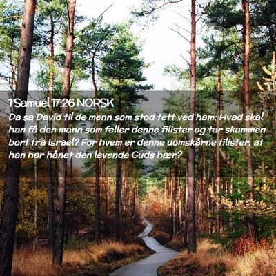 Picture 02 - 1 Samuel 17:26 NORSK - Da sa David til de menn som stod tett ved ham: - Bible Verse Picture