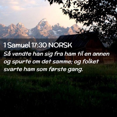 Picture 02 - 1 Samuel 17:30 NORSK - Så vendte han sig fra ham til en annen og spurte - Bible Verse Picture