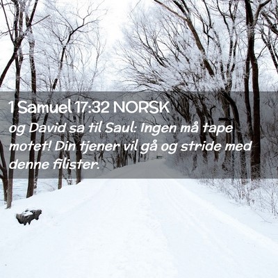 Picture 02 - 1 Samuel 17:32 NORSK - og David sa til Saul: Ingen må tape motet! Din - Bible Verse Picture