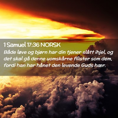 Picture 02 - 1 Samuel 17:36 NORSK - Både løve og bjørn har din tjener slått - Bible Verse Picture