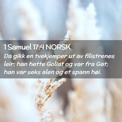 Picture 02 - 1 Samuel 17:4 NORSK - Da gikk en tvekjemper ut av filistrenes leir; han - Bible Verse Picture