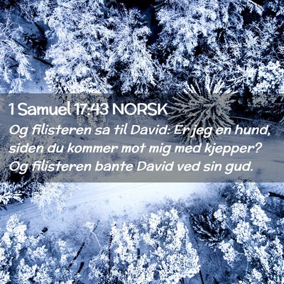 Picture 02 - 1 Samuel 17:43 NORSK - Og filisteren sa til David: Er jeg en hund, siden - Bible Verse Picture