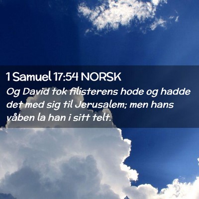 Picture 02 - 1 Samuel 17:54 NORSK - Og David tok filisterens hode og hadde det med - Bible Verse Picture