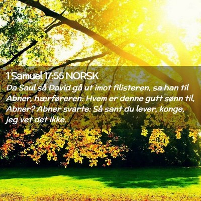Picture 02 - 1 Samuel 17:55 NORSK - Da Saul så David gå ut imot filisteren, sa han - Bible Verse Picture