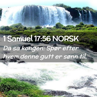 Picture 02 - 1 Samuel 17:56 NORSK - Da sa kongen: Spør efter hvem denne gutt er - Bible Verse Picture