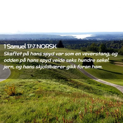 Picture 02 - 1 Samuel 17:7 NORSK - Skaftet på hans spyd var som en veverstang, og - Bible Verse Picture