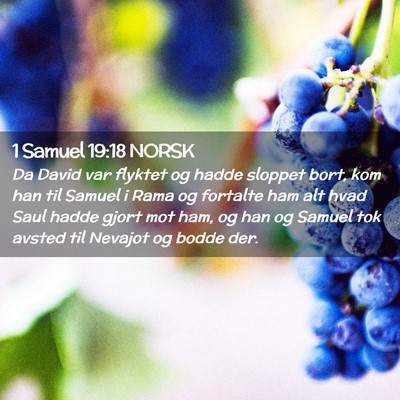 Picture 02 - 1 Samuel 19:18 NORSK - Da David var flyktet og hadde sloppet bort, kom - Bible Verse Picture