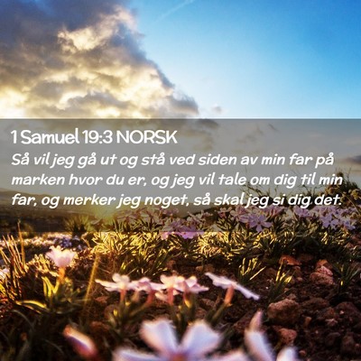 Picture 02 - 1 Samuel 19:3 NORSK - Så vil jeg gå ut og stå ved siden av min far - Bible Verse Picture