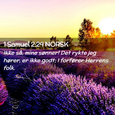 Picture 02 - 1 Samuel 2:24 NORSK - Ikke så, mine sønner! Det rykte jeg hører, er - Bible Verse Picture