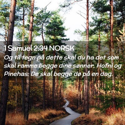 Picture 02 - 1 Samuel 2:34 NORSK - Og til tegn på dette skal du ha det som skal - Bible Verse Picture
