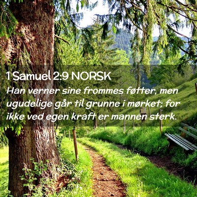 Picture 02 - 1 Samuel 2:9 NORSK - Han verner sine frommes føtter, men ugudelige - Bible Verse Picture