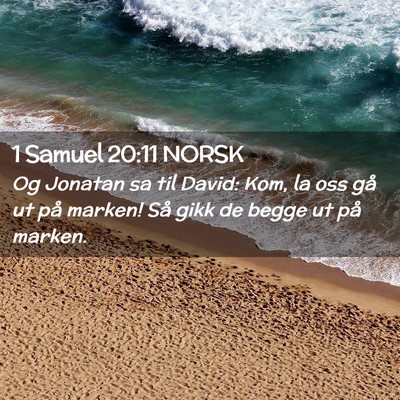 Picture 02 - 1 Samuel 20:11 NORSK - Og Jonatan sa til David: Kom, la oss gå ut på - Bible Verse Picture