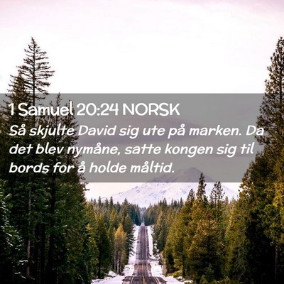 Picture 02 - 1 Samuel 20:24 NORSK - Så skjulte David sig ute på marken. Da det blev - Bible Verse Picture