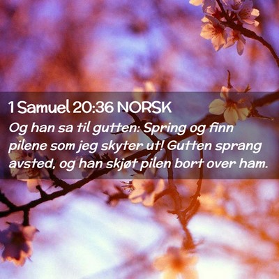 Picture 02 - 1 Samuel 20:36 NORSK - Og han sa til gutten: Spring og finn pilene som - Bible Verse Picture