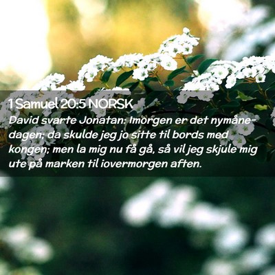 Picture 02 - 1 Samuel 20:5 NORSK - David svarte Jonatan: Imorgen er det - Bible Verse Picture