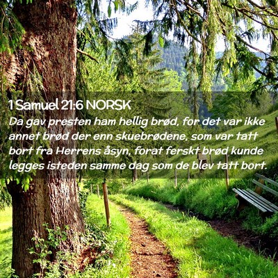Picture 02 - 1 Samuel 21:6 NORSK - Da gav presten ham hellig brød, for det var ikke - Bible Verse Picture