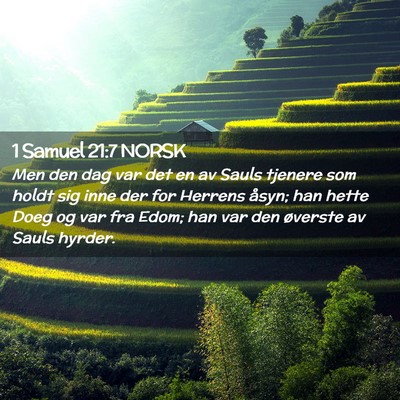 Picture 02 - 1 Samuel 21:7 NORSK - Men den dag var det en av Sauls tjenere som holdt - Bible Verse Picture