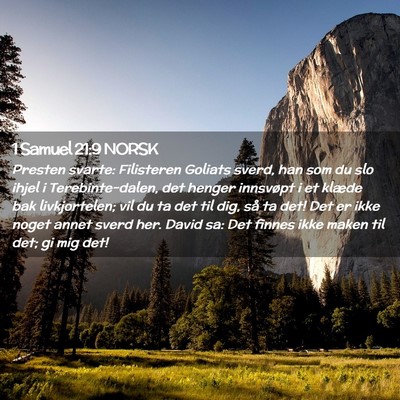 Picture 02 - 1 Samuel 21:9 NORSK - Presten svarte: Filisteren Goliats sverd, han som - Bible Verse Picture