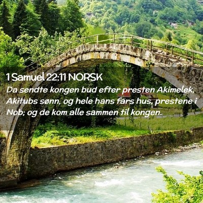 Picture 02 - 1 Samuel 22:11 NORSK - Da sendte kongen bud efter presten Akimelek, - Bible Verse Picture