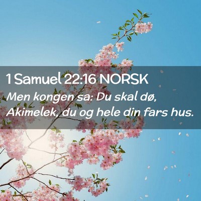 Picture 02 - 1 Samuel 22:16 NORSK - Men kongen sa: Du skal dø, Akimelek, du og hele - Bible Verse Picture