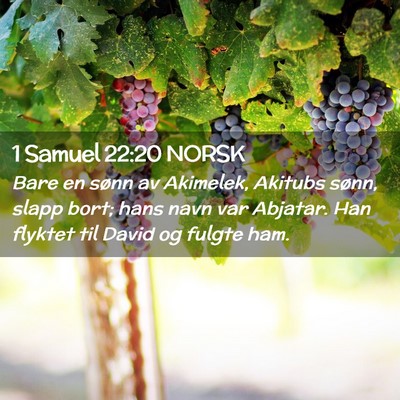 Picture 02 - 1 Samuel 22:20 NORSK - Bare en sønn av Akimelek, Akitubs sønn, slapp - Bible Verse Picture
