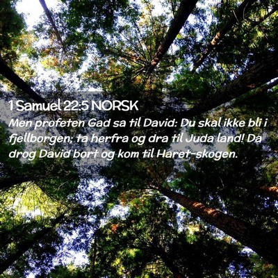 Picture 02 - 1 Samuel 22:5 NORSK - Men profeten Gad sa til David: Du skal ikke bli i - Bible Verse Picture