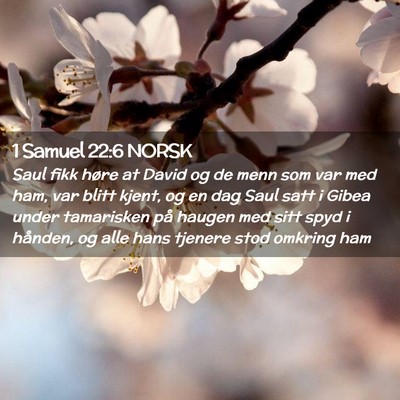 Picture 02 - 1 Samuel 22:6 NORSK - Saul fikk høre at David og de menn som var med - Bible Verse Picture
