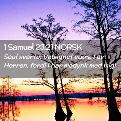 Picture 02 - 1 Samuel 23:21 NORSK - Saul svarte: Velsignet være I av Herren, fordi I - Bible Verse Picture