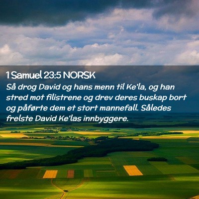 Picture 02 - 1 Samuel 23:5 NORSK - Så drog David og hans menn til Ke'la, og han - Bible Verse Picture