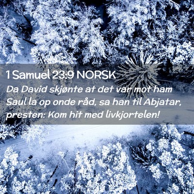 Picture 02 - 1 Samuel 23:9 NORSK - Da David skjønte at det var mot ham Saul la op - Bible Verse Picture