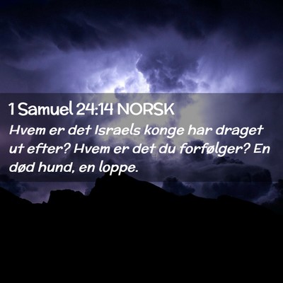 Picture 02 - 1 Samuel 24:14 NORSK - Hvem er det Israels konge har draget ut efter? - Bible Verse Picture