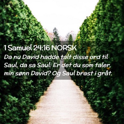 Picture 02 - 1 Samuel 24:16 NORSK - Da nu David hadde talt disse ord til Saul, da sa - Bible Verse Picture