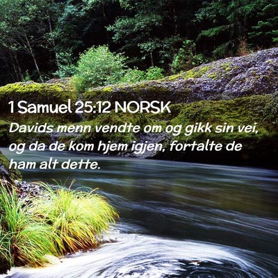 Picture 02 - 1 Samuel 25:12 NORSK - Davids menn vendte om og gikk sin vei, og da de - Bible Verse Picture